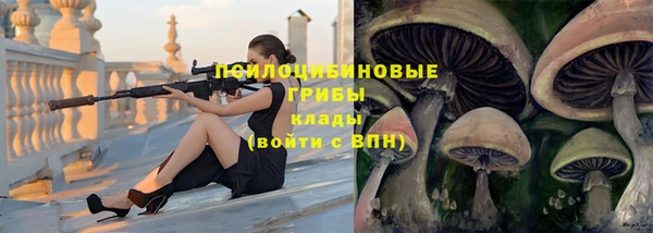 бутират Козельск
