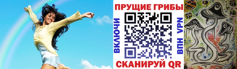 Галлюциногенные грибы Psilocybine cubensis  Купить  Ардатов 